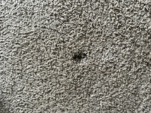 YesSir Services before small damaged carpet spot