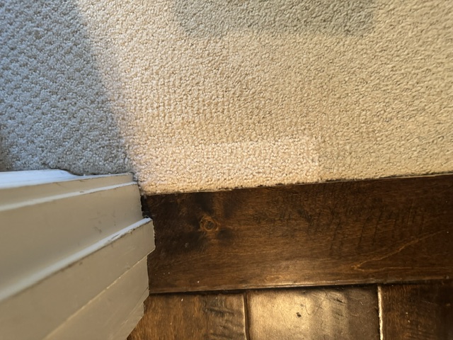 YesSir Services project area carpet at hardwood doorway