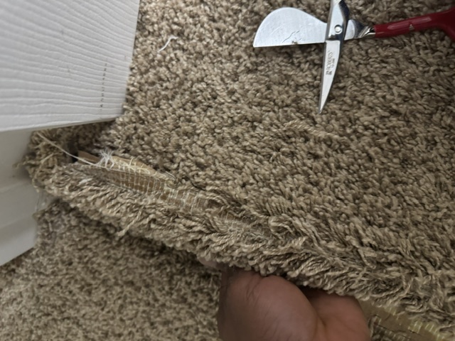YesSir Services Carpet Stretching & Repair Project Photo 26