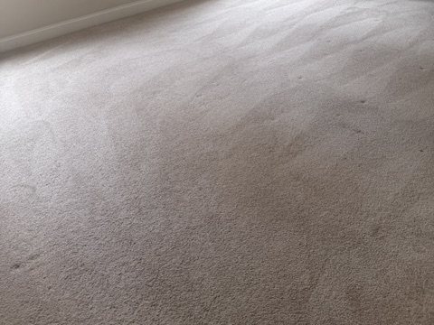 After carpet cleaning close-up of the finished carpet