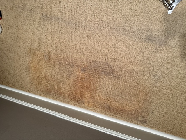 YesSir Services carpet stretching repair and cleaning project